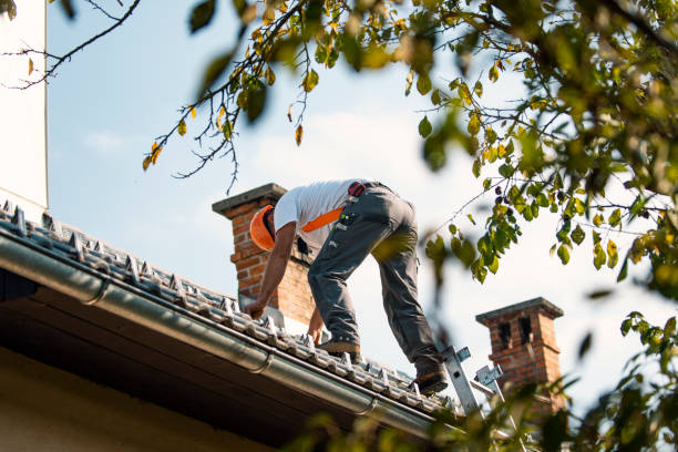 Best Emergency Roof Repair  in Pine Bluffs, WY