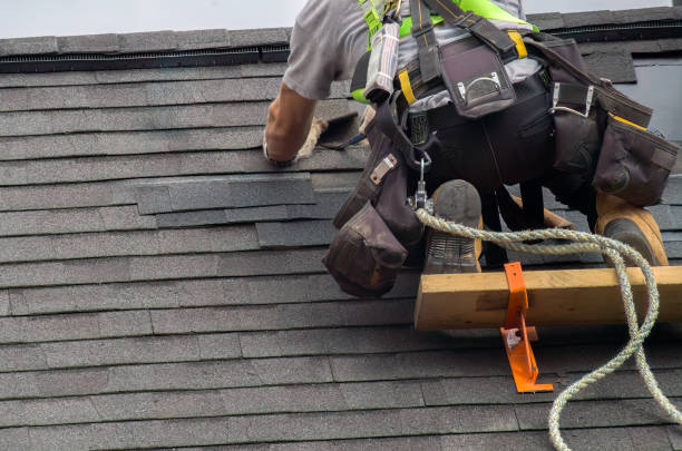 Roof Gutter Cleaning in Pine Bluffs, WY