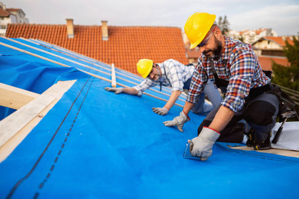 Best New Roof Installation  in Pine Bluffs, WY