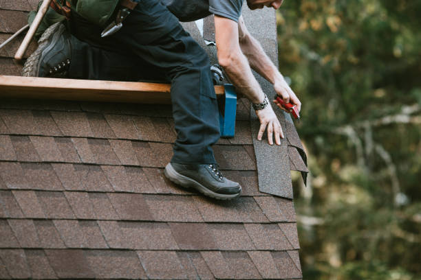 Best Local Roofing Companies  in Pine Bluffs, WY